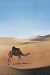 Ishtar - Movie Poster / Print -- Custom Framing Available