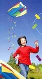 Miniature - Pocket Kite
