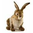 Plush Jack Rabbit 13"
