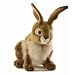 Plush Jack Rabbit 13"