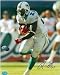 Ronnie Brown autographed 8x10 Photo (Miami Dolphins)