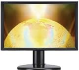 19 W with 5MS Panel/digital/height Adjustable Stand, BLACK,1440X900,700:1,DVI Ca