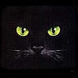 Eyes-Black Cat Womens Scoop Neck T-Shirt