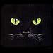 Eyes-Black Cat Womens Scoop Neck T-Shirt