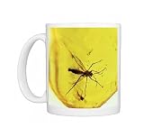 PM-10263 Insect in amber Photo Mugs
