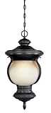 World Imports Lighting 9094-55 Barnsley Outdoor 1-Light Exterior Hanging Lantern, Aged Bronze