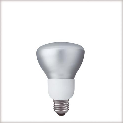 Paulmann 89230 ESL Reflektor R80 9W E27 warmwei&szlig; Preisvergleich