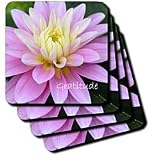 Inspirations Gratitude - Set Of 8 Coasters - Soft