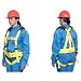 Lewis Manufacturing 418-18-1140: Fall Arrest Harnesses