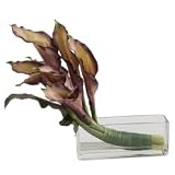 Uttermost Midnight Eclipse Calla Bouquet Faux Flowers