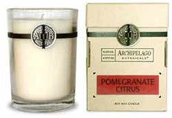 Archipelago Botanicals Pomegranate Citrus Candle 5.75 oz candle
