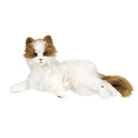 【クリックで詳細表示】夢ねこ ヴィーナス