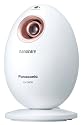 Panasonic デイモイスチャー ナノケア ピンクゴールド調 EH-SN10-PN