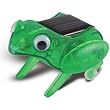 OWI OWI-MSK672 HAPPY HOPPING FROG JR SCIENCE SERIES