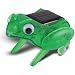 OWI OWI-MSK672 HAPPY HOPPING FROG JR SCIENCE SERIES