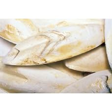 Cuttlebone Medium Bird Supplement 5 Pound Bag by 