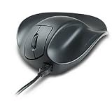 handshoe mouse