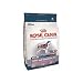 Details About Royal Canin Maxi Joint and Coat Care 28 Dry Dog Food