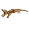 Alligator Woodkit