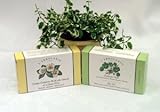 Lerbolario Augenfalten - Gel mit Centella 15 ml