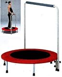 �ȡ������饤�ȡ������ԥ󥰥������׼����դ����ȡݣ�������