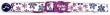 Flower Frenzy Cat Collar, 3/8-Inch Wide, Adjustable 8-12, Purple