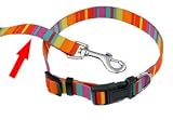 (HI-CRAFT) Brighton Rock Designer Dog Lead 40" x ½"