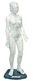 Acupuncture Posed 19 Plastic Model - Woman- New by AME