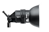 Profoto 900618 Acute2/D4 Head (Black)