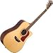D56SWCE Acoustic Electric Guitar