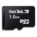 SANDISK