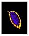 Leave Still Life Photographic Poster Print by Ataollah Alishahi, 16x20