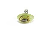 Genuine Scorpion Specimen Acrylic Adjustable Fashion / Costume Ring- GLOWS IN THE DARK!