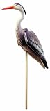 Laguna Blue Heron