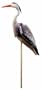 Laguna Blue Heron