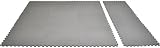 48 square feet (Set of 12) eWonderWorld 24 X 24 X~5/8 Thick Gray Play Mats
