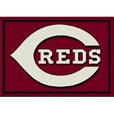 Cincinnati Reds 5 4" x 7 8" Team Spirit Area Rug
