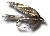 Beauty Wet Fly Fly Fishing Fly