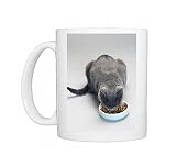 Photo Mugs of Chartreux Cat - feeding from bowl with dry food from Ardea Wildlife Pets