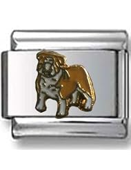 English Bulldog Italian Charm