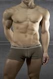 C-in2 Vice Versa Heather Low No Show Army Boxer-Brief - Tobacco