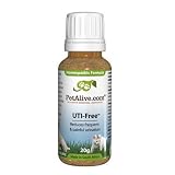 310g2lJXGzL. SL160  Feline Urinary Tract Infection