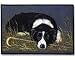 Border Collie Porch Doormat