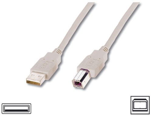 City Travel Guides Discounted  Elektronik : Assmann USB Kabel USB Anschlusskabel A / Stecker - B / Stecker 5.0 m 2 x geschirmt