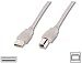 Elektronik : Assmann USB Kabel USB Anschlusskabel A / Stecker - B / Stecker 5.0 m 2 x geschirmt