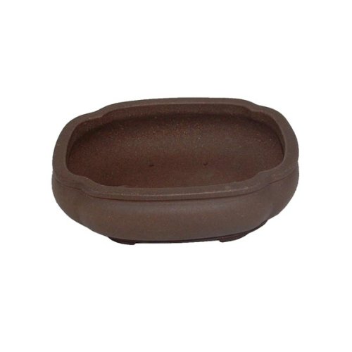 16cm Oval Unglazed Master Bonsai Pot