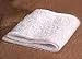 Austin Air Pre-Filter for HealthMate JR Air Purifier (White)  : image
