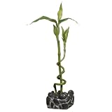 Bamboo Decor Plant