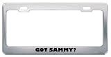 Got Sammy? Boy Name Metal License Plate Frame Holder Border Tag