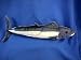 King Mackerel Plush Toy